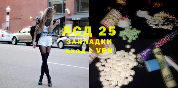 стаф Алексин