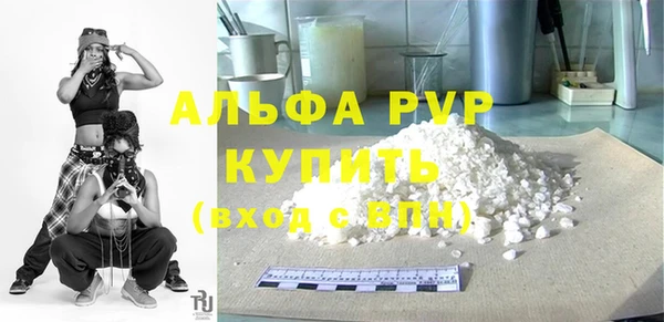 стаф Алексин