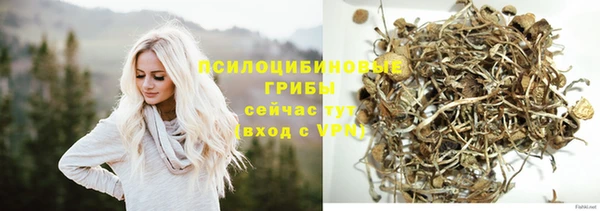 MDMA Premium VHQ Карпинск